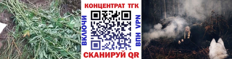 Купить  Урюпинск  Дистиллят ТГК THC oil 