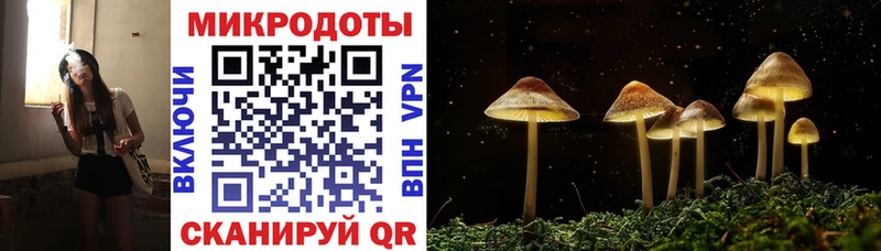 Галлюциногенные грибы Psilocybe  Купить  Урюпинск 