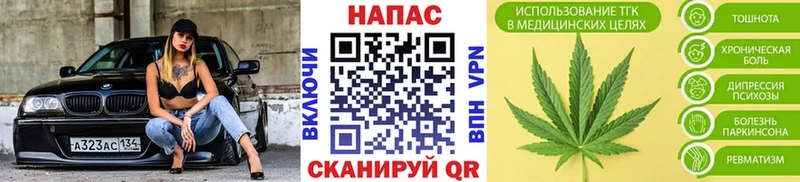 Канабис сатива  Купить закладки  Урюпинск 